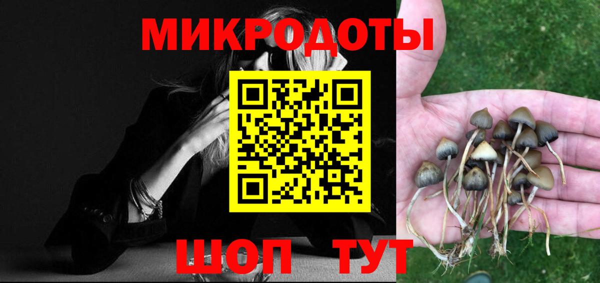Галлюциногенные грибы Psilocybine cubensis  Вход с VPN  Ефремов 